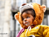 2895 CARNAVAL BX web