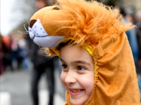 2946 CARNAVAL BX web