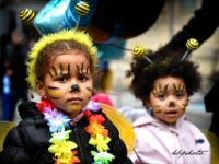 3075 CARNAVAL BX web