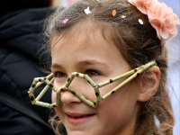 3307 CARNAVAL BX web